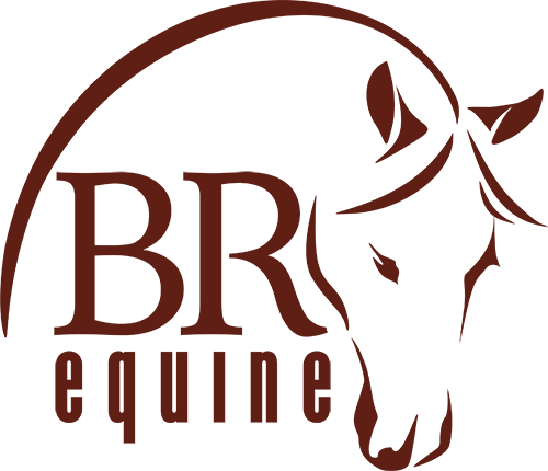 BR Equine logo