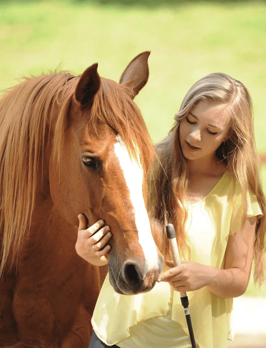 Horse wearing a bareback pad